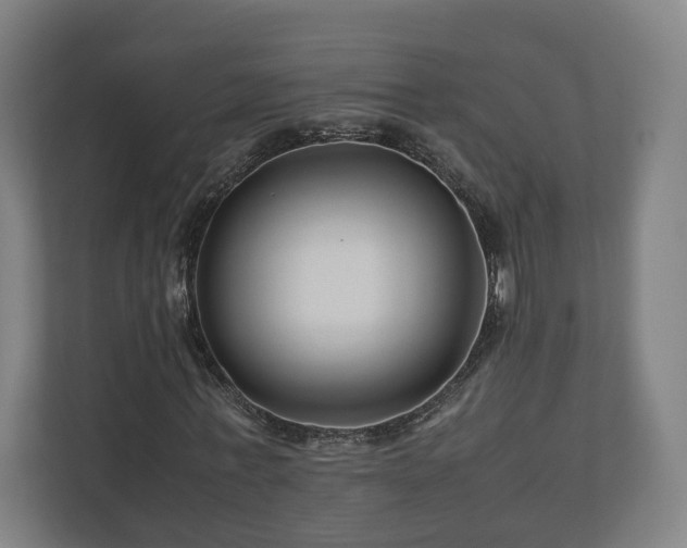 X0000111120771200907070957