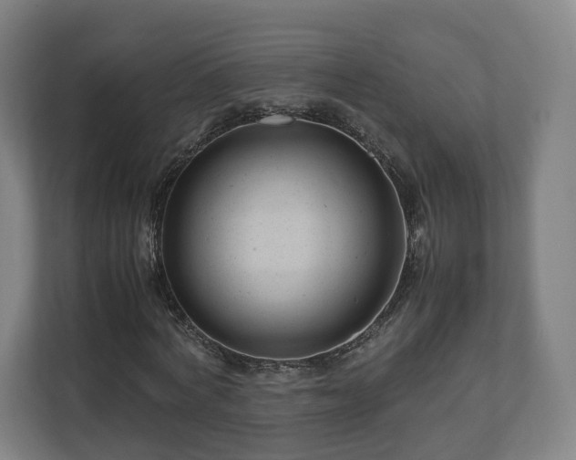 X0000111120772200907070957