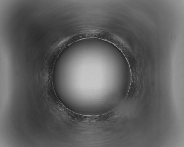 X0000111120773200907070957