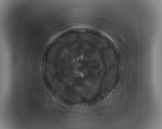 X0000111120775200907070957