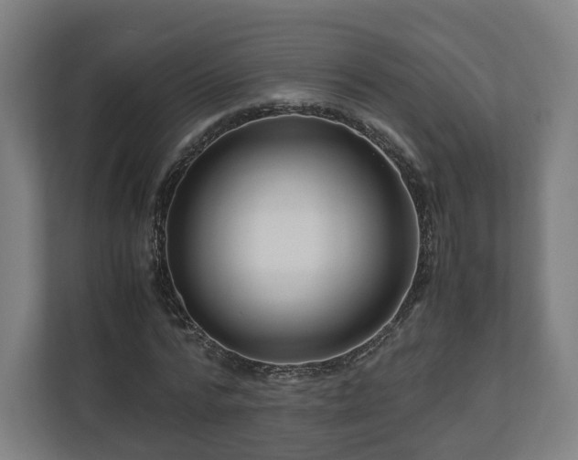 X0000111120776200907070957