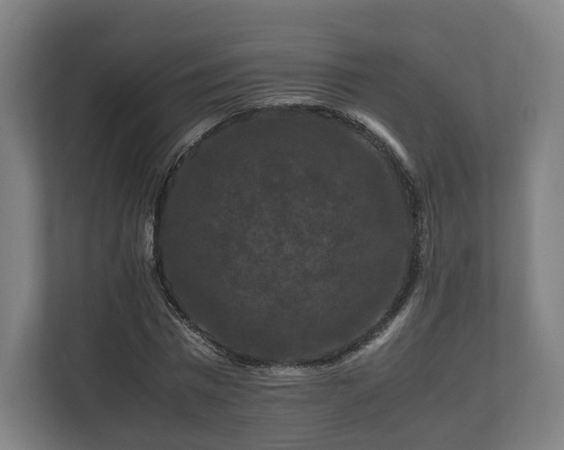 X0000111120777200907070957