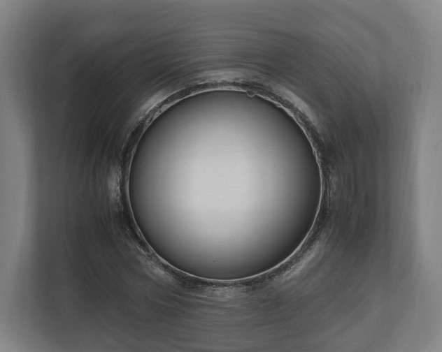 X0000111120778200907070957