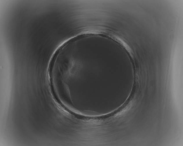 X0000111120779200907070957