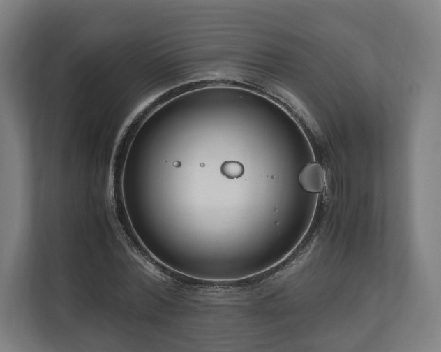 X0000111120780200907070957