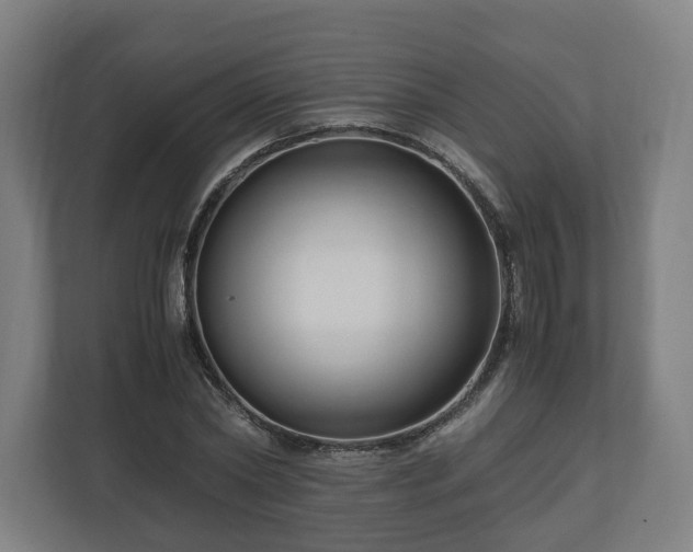 X0000111120782200907070957