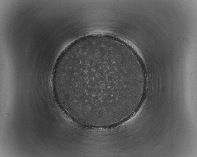 X0000111120783200907070957