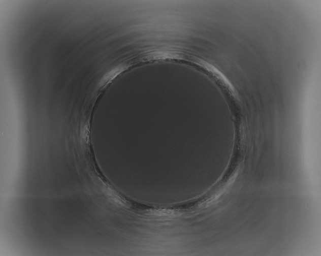 X0000111120785200907070956