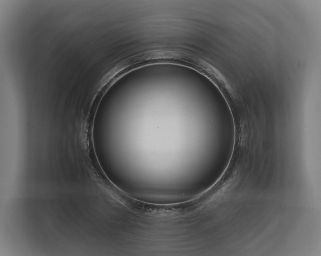 X0000111120786200907070956