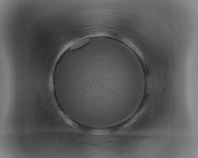 X0000111120789200907070956