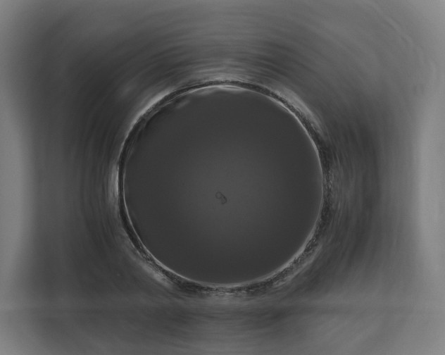 X0000111120790200907070956