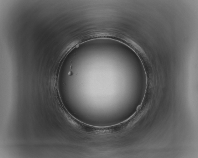 X0000111120793200907070956