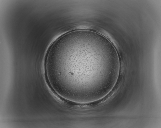 X0000111120795200907070956