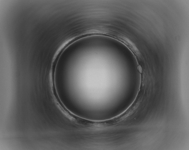 X0000111120796200907070956