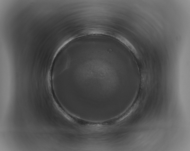 X0000111120798200907070956