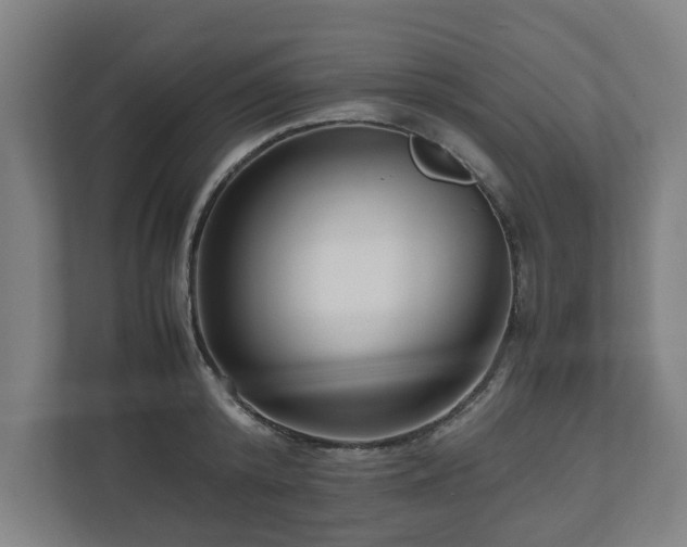 X0000111120800200907070956