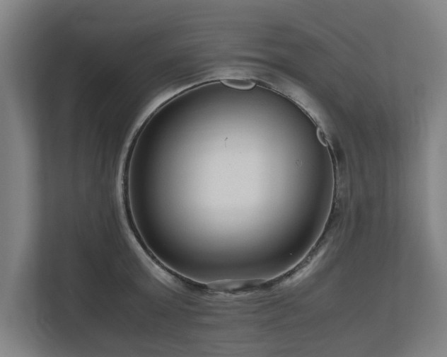 X0000111120803200907070956