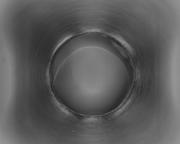 X0000111120806200907070956