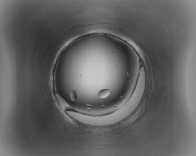 X0000111120807200907070956