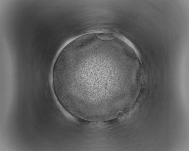 X0000111120811200907070956