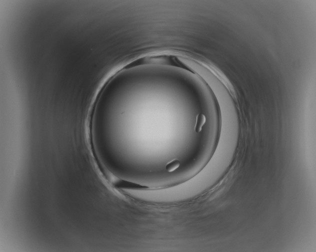 X0000111120813200907070956