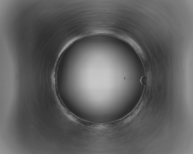 X0000111120814200907070956