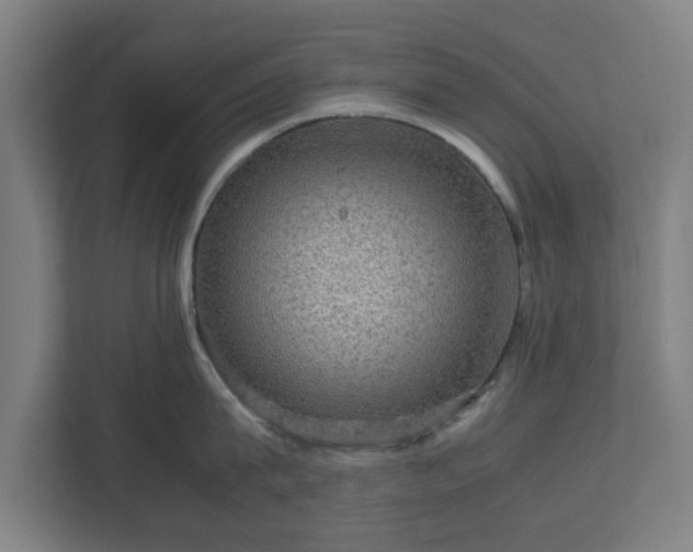 X0000111120815200907070956