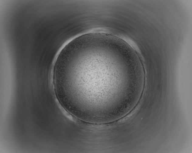 X0000111120816200907070956