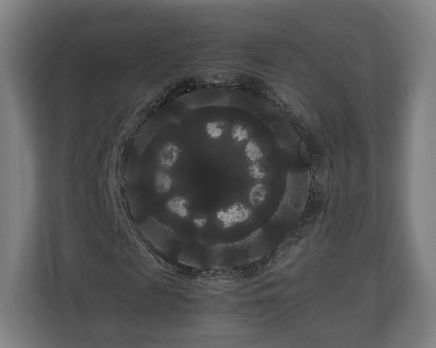 X0000111120817200907070955