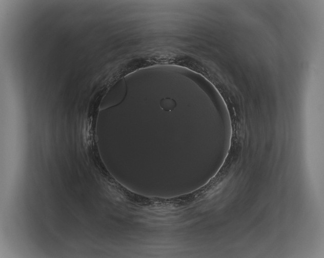 X0000111120818200907070955