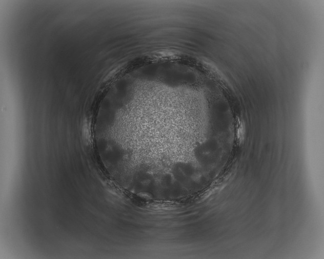 X0000111120819200907070955