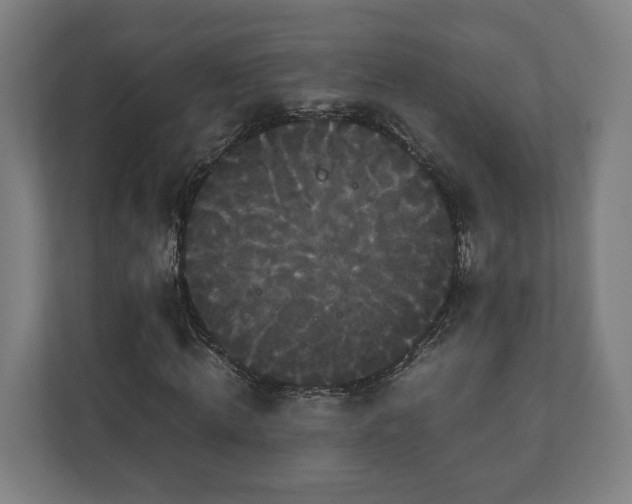 X0000111120820200907070956