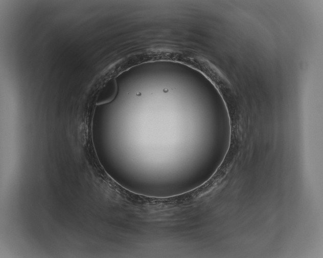 X0000111120821200907070956