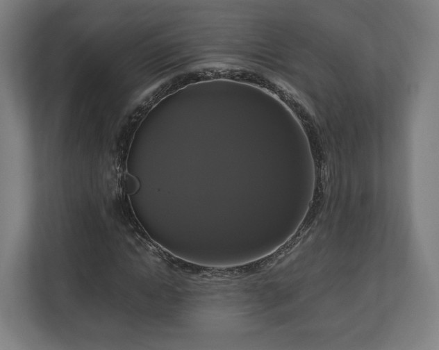 X0000111120822200907070956