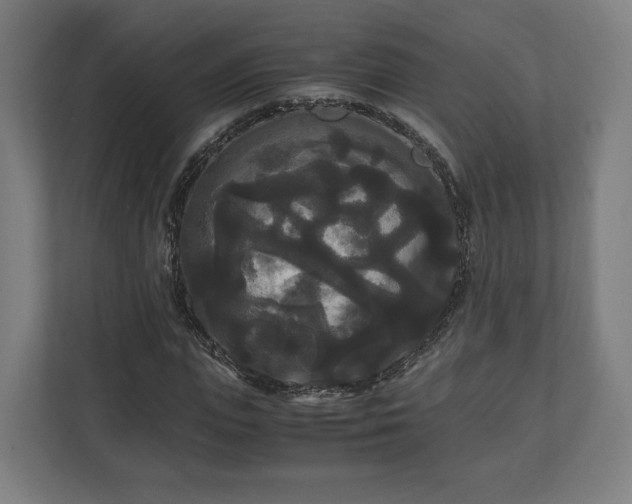 X0000111120823200907070956