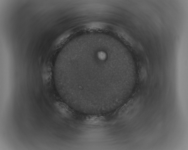 X0000111120824200907070956