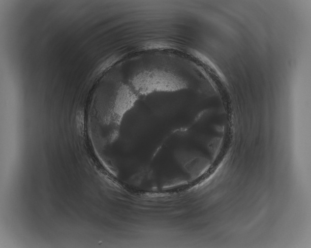 X0000111120825200907070956