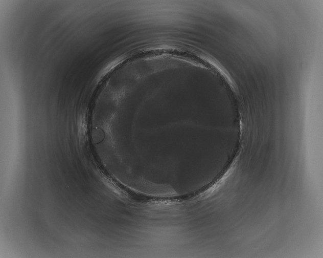 X0000111120826200907070956