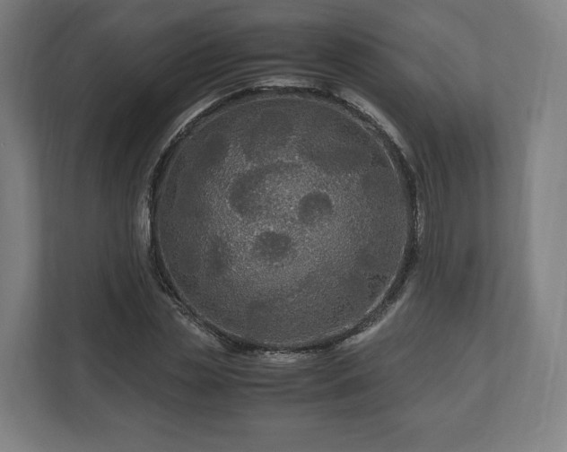 X0000111120829200907070956