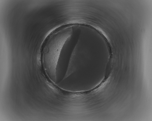 X0000111120830200907070956