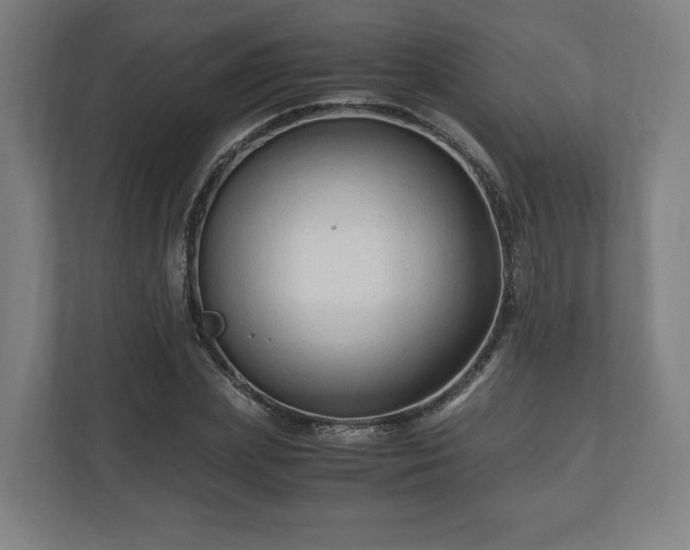 X0000111120831200907070956