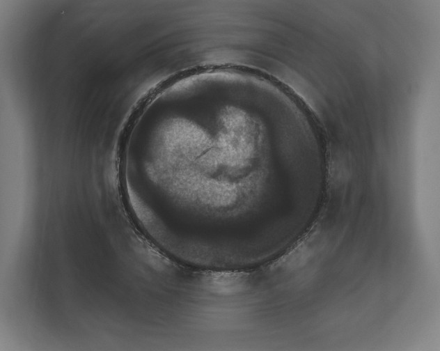 X0000111120832200907070956