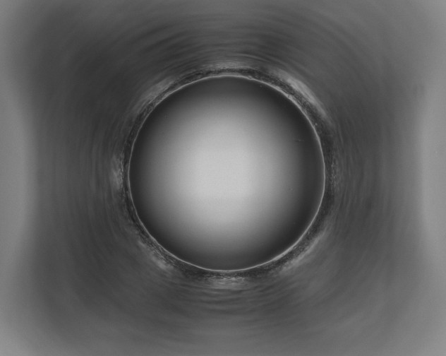 X0000111120833200907070956