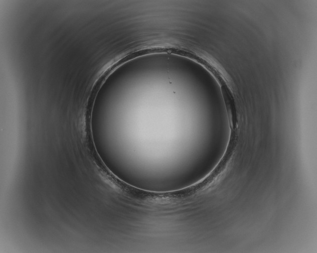 X0000111120834200907070956