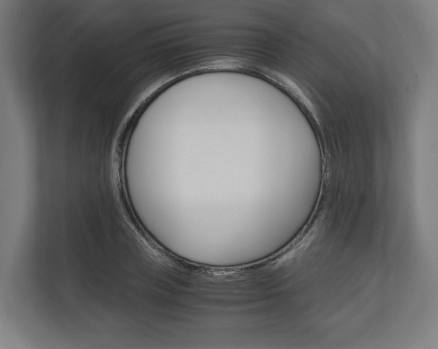 X0000111120835200907070956