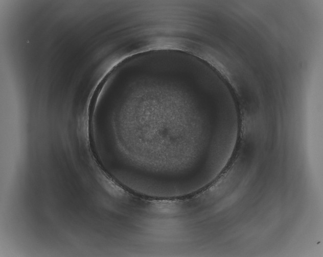 X0000111120836200907070956