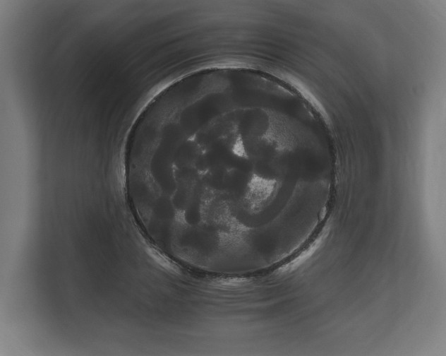 X0000111120837200907070956