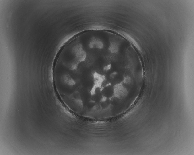 X0000111120839200907070956