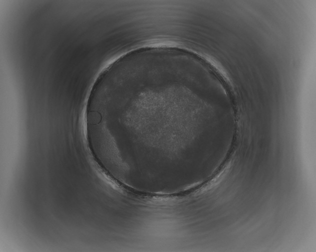 X0000111120840200907070956