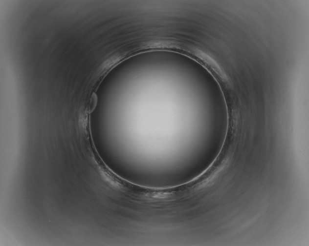 X0000111120841200907070956